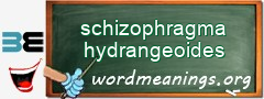 WordMeaning blackboard for schizophragma hydrangeoides